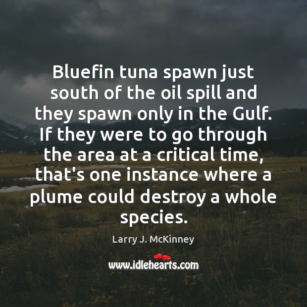 Bluefin tuna spawn just south of the oil spill and they spawn Larry J. McKinney Picture Quote