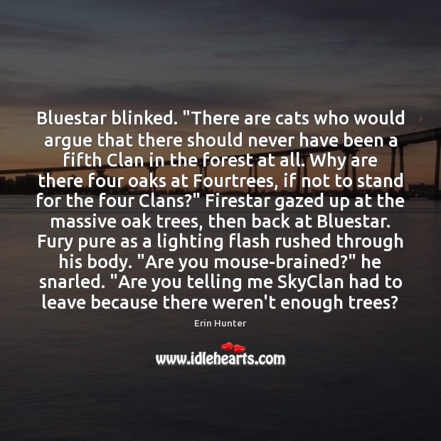 Bluestar blinked. “There are cats who would argue that there should never Erin Hunter Picture Quote