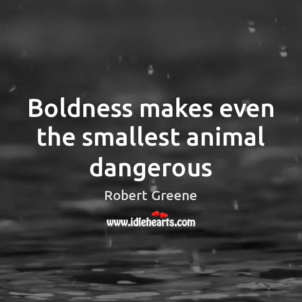Boldness makes even the smallest animal dangerous Boldness Quotes Image