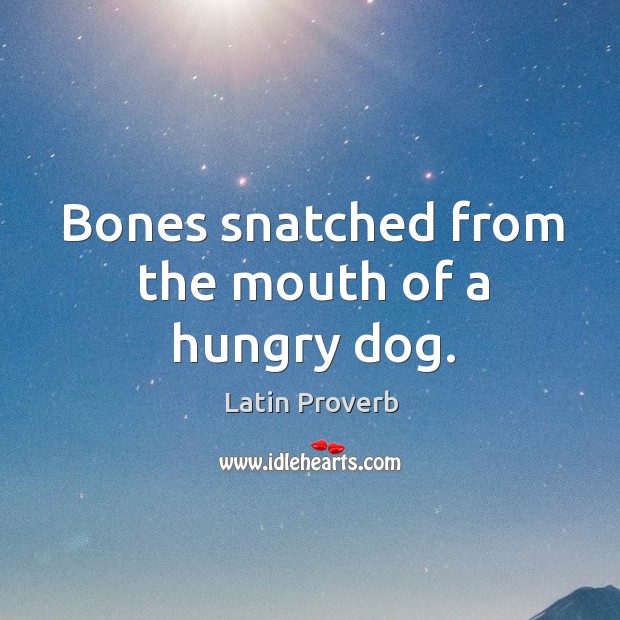 Bones snatched from the mouth of a hungry dog. Image