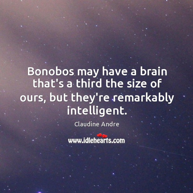 Bonobos may have a brain that’s a third the size of ours, Claudine Andre Picture Quote
