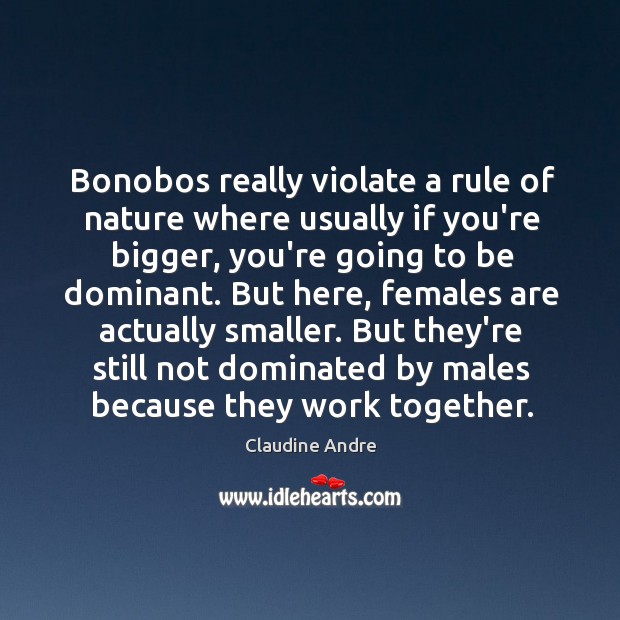 Bonobos really violate a rule of nature where usually if you’re bigger, Claudine Andre Picture Quote