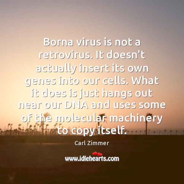 Borna virus is not a retrovirus. It doesn’t actually insert its own Carl Zimmer Picture Quote