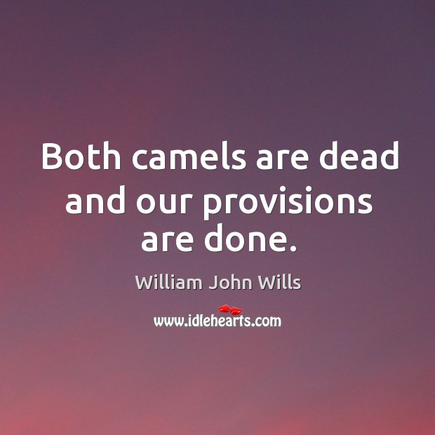Both camels are dead and our provisions are done. William John Wills Picture Quote