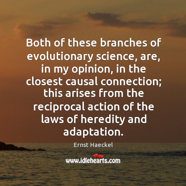 Both of these branches of evolutionary science, are, in my opinion, in the closest causal Ernst Haeckel Picture Quote