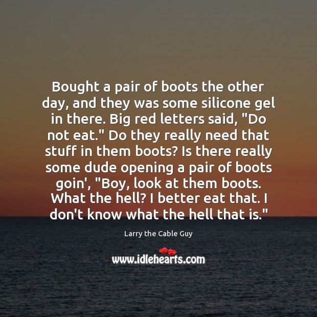 Bought a pair of boots the other day, and they was some Larry the Cable Guy Picture Quote