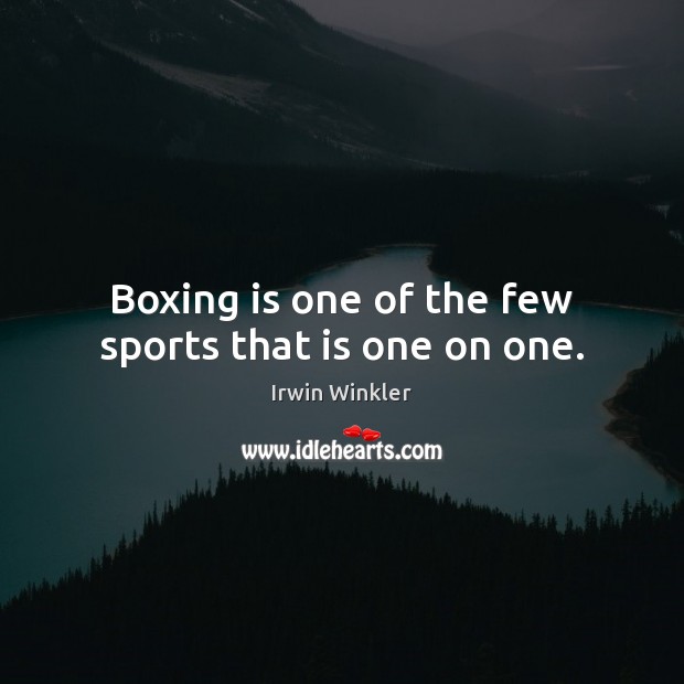 Boxing is one of the few sports that is one on one. Irwin Winkler Picture Quote