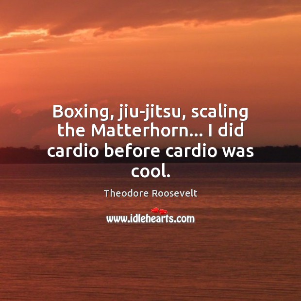 Boxing, jiu-jitsu, scaling the Matterhorn… I did cardio before cardio was cool. Theodore Roosevelt Picture Quote