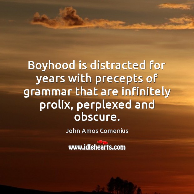Boyhood is distracted for years with precepts of grammar that are infinitely 