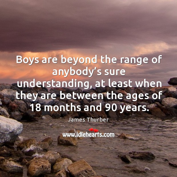 Boys are beyond the range of anybody’s sure understanding James Thurber Picture Quote