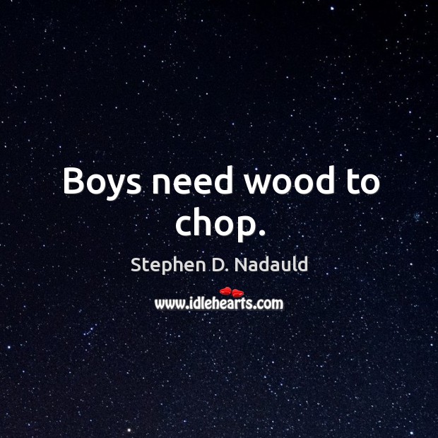 Boys need wood to chop. Image