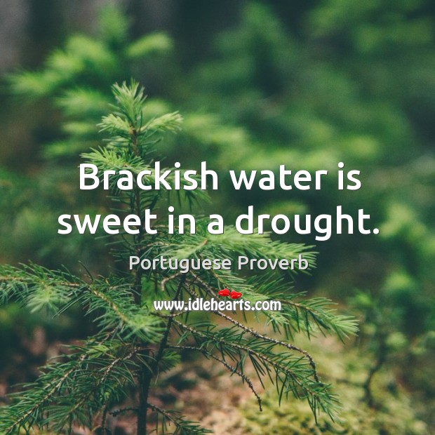 Brackish water is sweet in a drought. Portuguese Proverbs Image