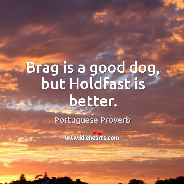 Brag is a good dog, but holdfast is better. Portuguese Proverbs Image