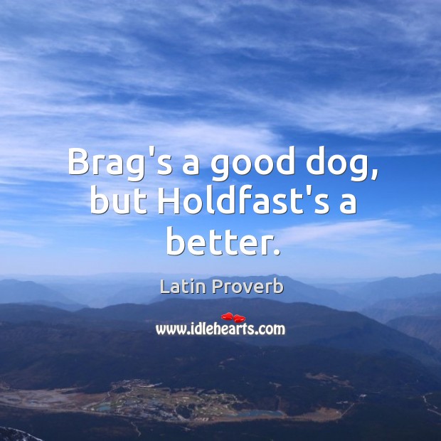 Brag’s a good dog, but holdfast’s a better. Latin Proverbs Image