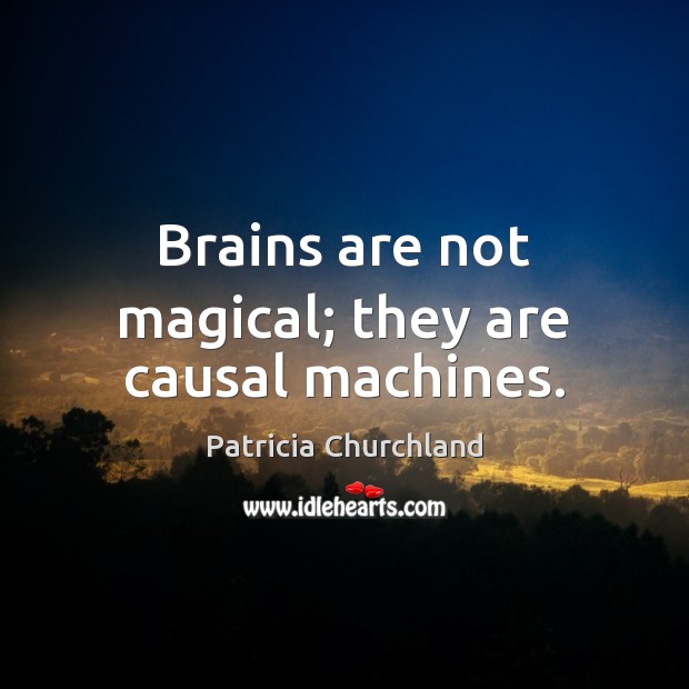 Brains are not magical; they are causal machines. Patricia Churchland Picture Quote