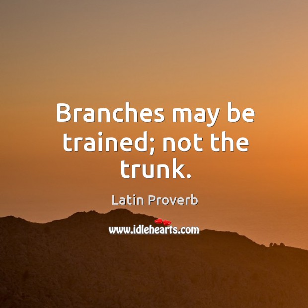 Branches may be trained; not the trunk. Image