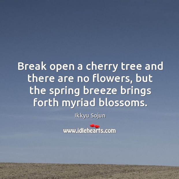 Break open a cherry tree and there are no flowers, but the spring breeze brings forth myriad blossoms. Ikkyu Sojun Picture Quote