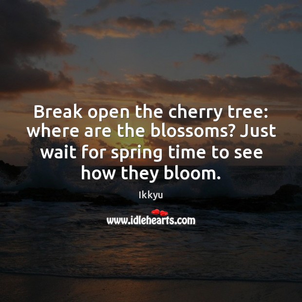 Break open the cherry tree: where are the blossoms? Just wait for Ikkyu Picture Quote
