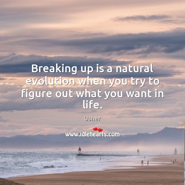 Breaking up is a natural evolution when you try to figure out what you want in life. Usher Picture Quote