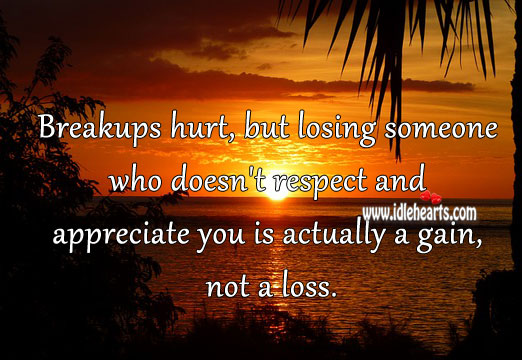 Losing someone who doesn’t respect you is a gain. Appreciate Quotes Image