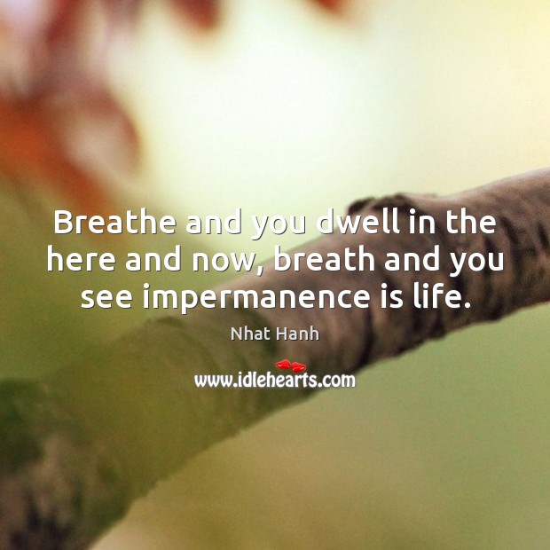Breathe and you dwell in the here and now, breath and you see impermanence is life. Nhat Hanh Picture Quote