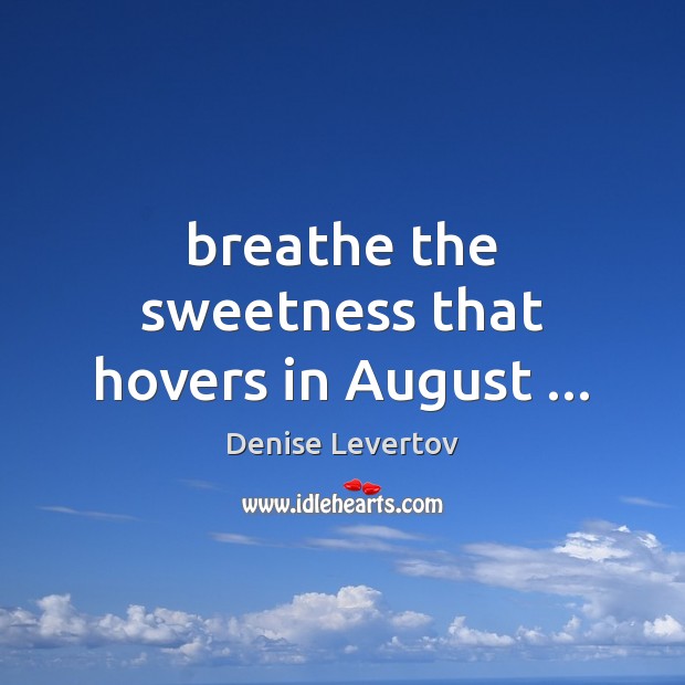 Breathe the sweetness that hovers in August … Denise Levertov Picture Quote