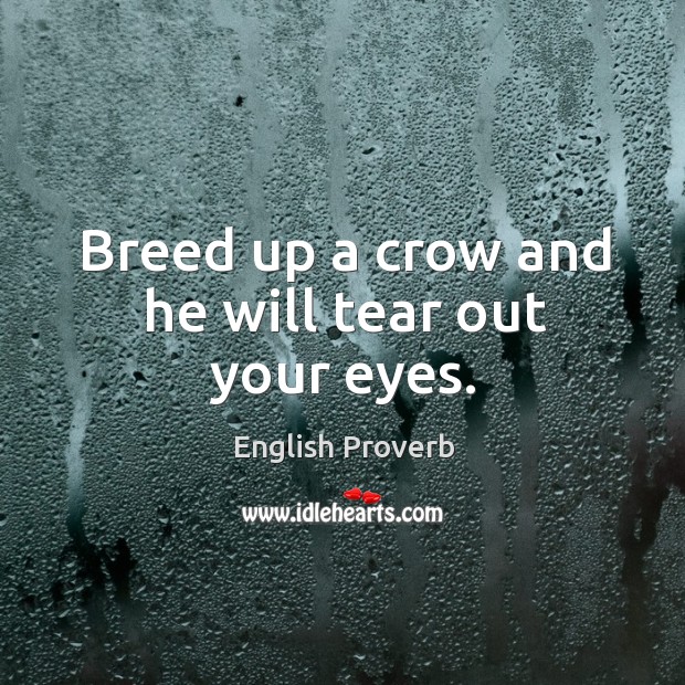 Breed up a crow and he will tear out your eyes. English Proverbs Image