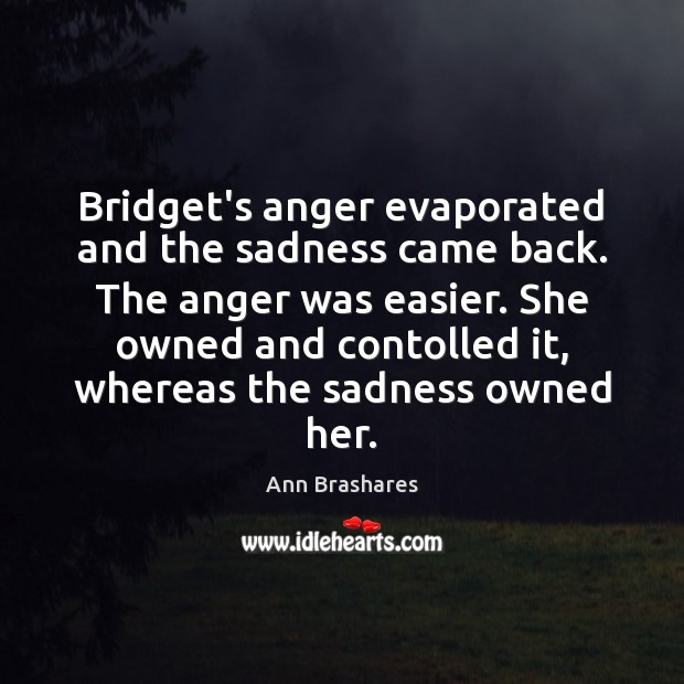 Bridget’s anger evaporated and the sadness came back. The anger was easier. Ann Brashares Picture Quote