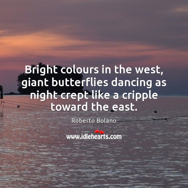 Bright colours in the west, giant butterflies dancing as night crept like Roberto Bolano Picture Quote