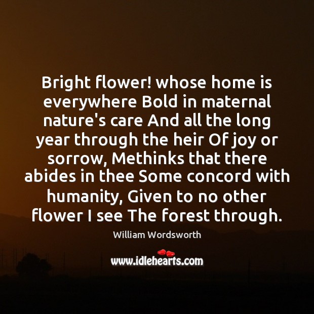 Bright flower! whose home is everywhere Bold in maternal nature’s care And Home Quotes Image