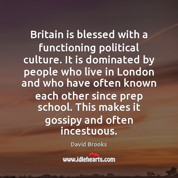 Britain is blessed with a functioning political culture. It is dominated by David Brooks Picture Quote