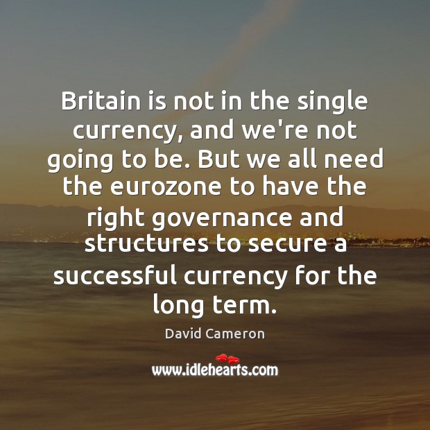 Britain is not in the single currency, and we’re not going to Image
