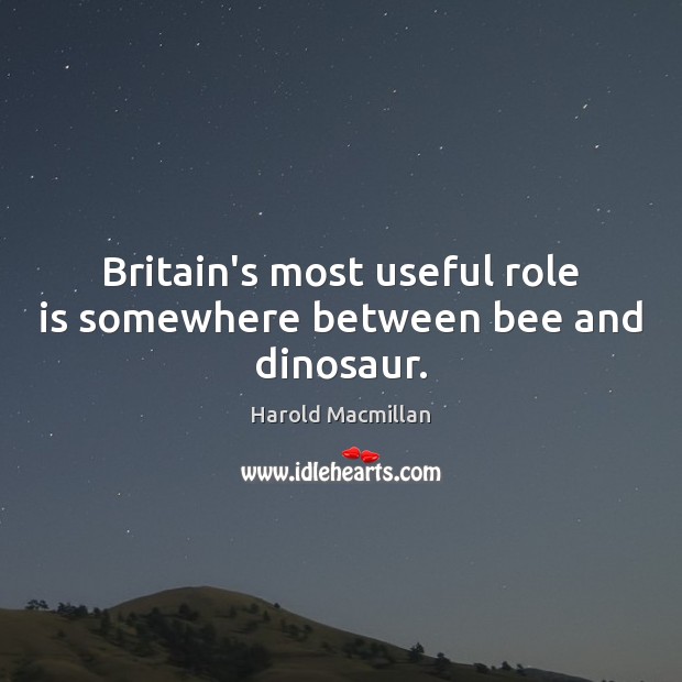Britain’s most useful role is somewhere between bee and dinosaur. Harold Macmillan Picture Quote