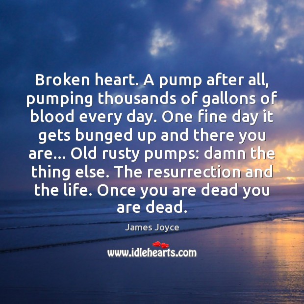 Broken heart. A pump after all, pumping thousands of gallons of blood James Joyce Picture Quote