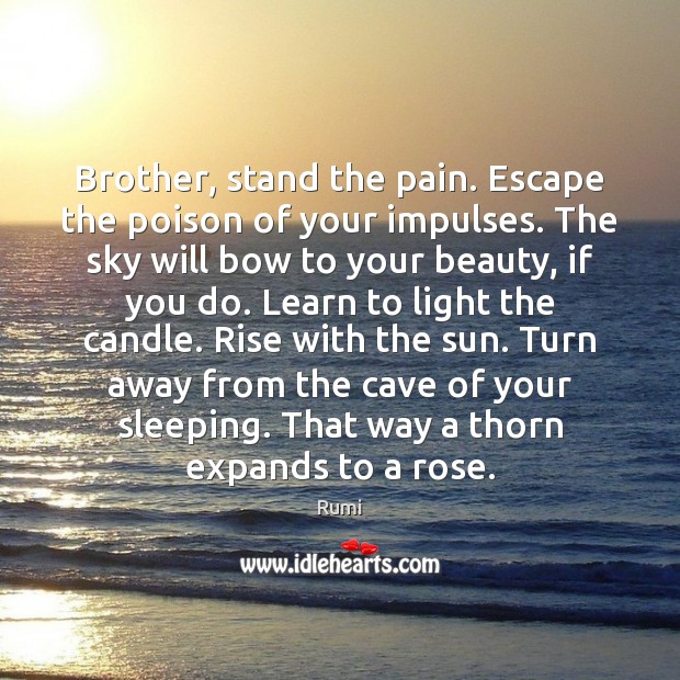 Brother, stand the pain. Escape the poison of your impulses. The sky Image