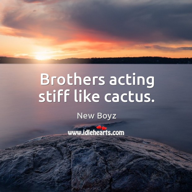 Brothers acting stiff like cactus. New Boyz Picture Quote