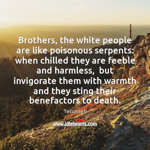 Brothers, the white people are like poisonous serpents: when chilled they are Tecumseh Picture Quote