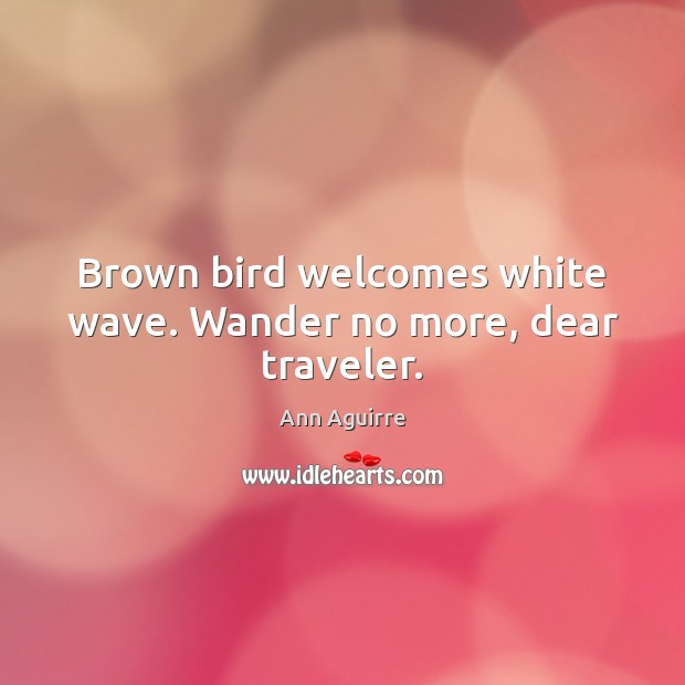 Brown bird welcomes white wave. Wander no more, dear traveler. Ann Aguirre Picture Quote