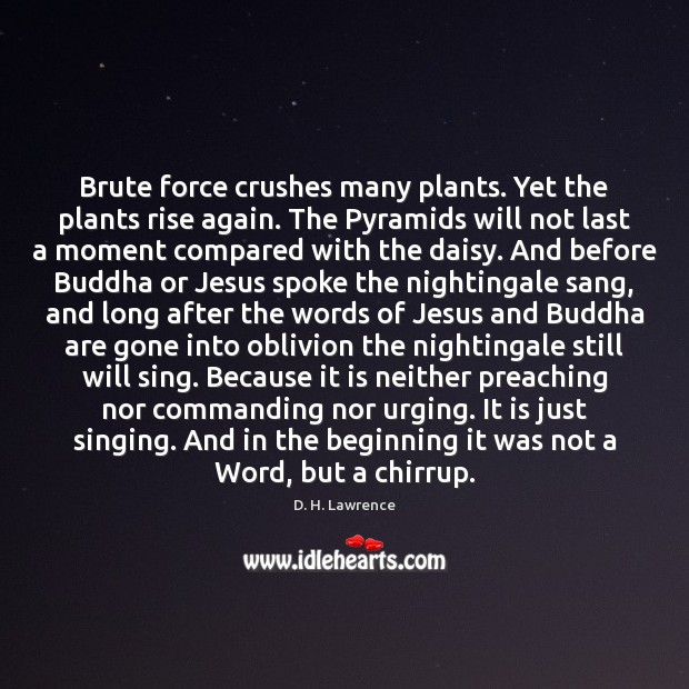 Brute force crushes many plants. Yet the plants rise again. The Pyramids D. H. Lawrence Picture Quote