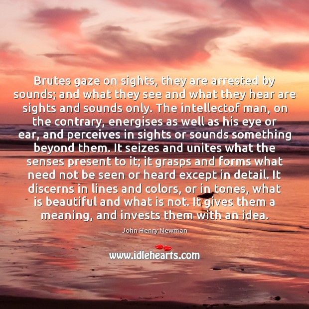 Brutes gaze on sights, they are arrested by sounds; and what they John Henry Newman Picture Quote