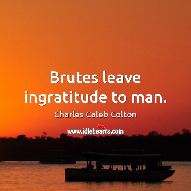 Brutes leave ingratitude to man. Charles Caleb Colton Picture Quote