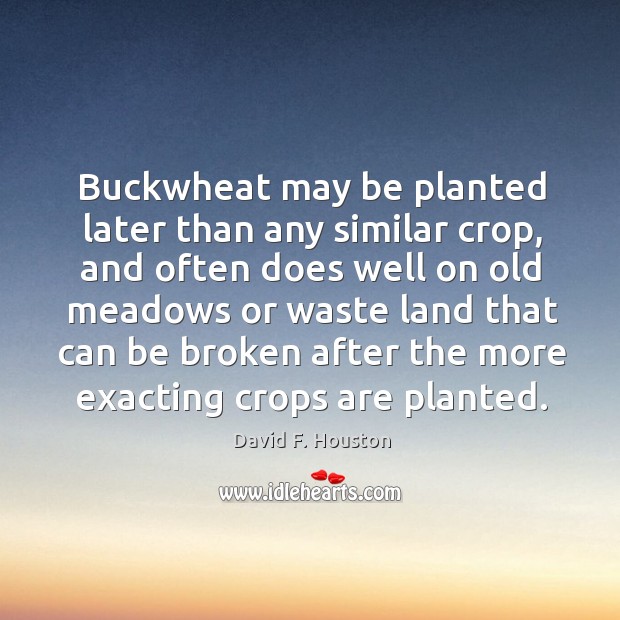 Buckwheat may be planted later than any similar crop, and often does well on old meadows or waste land David F. Houston Picture Quote
