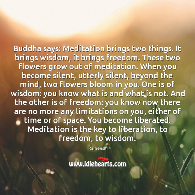 Buddha says: Meditation brings two things. It brings wisdom, it brings freedom. Silent Quotes Image