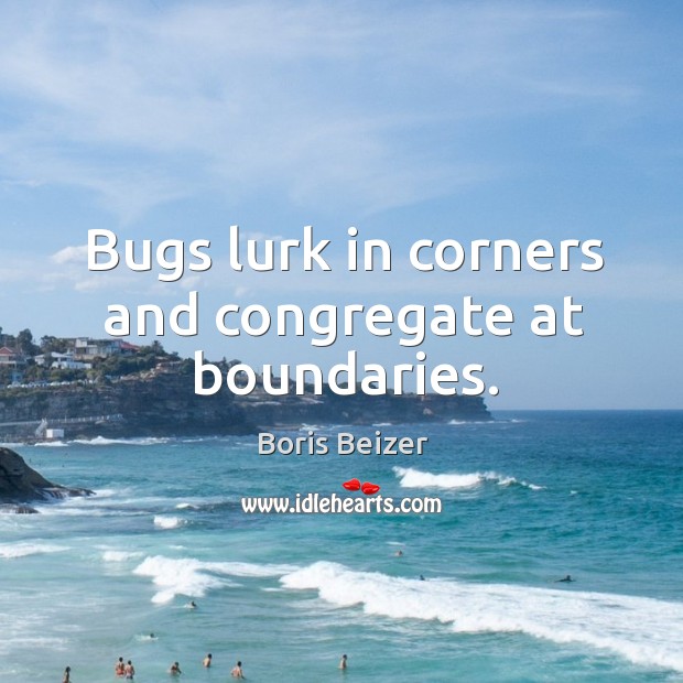 Bugs lurk in corners and congregate at boundaries. Image