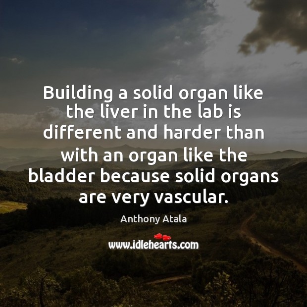 Building a solid organ like the liver in the lab is different Image