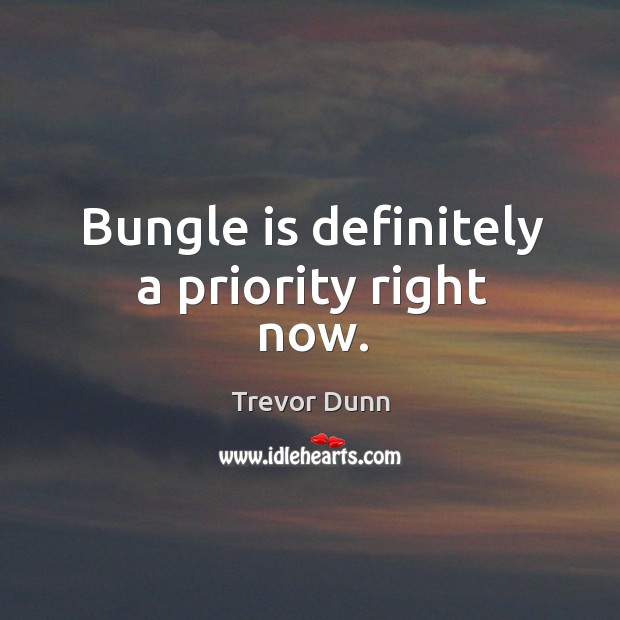 Bungle is definitely a priority right now. Trevor Dunn Picture Quote