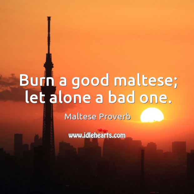 Burn a good maltese; let alone a bad one. Image