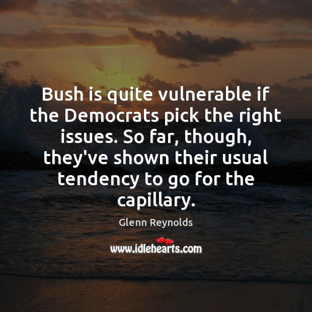 Bush is quite vulnerable if the Democrats pick the right issues. So Glenn Reynolds Picture Quote
