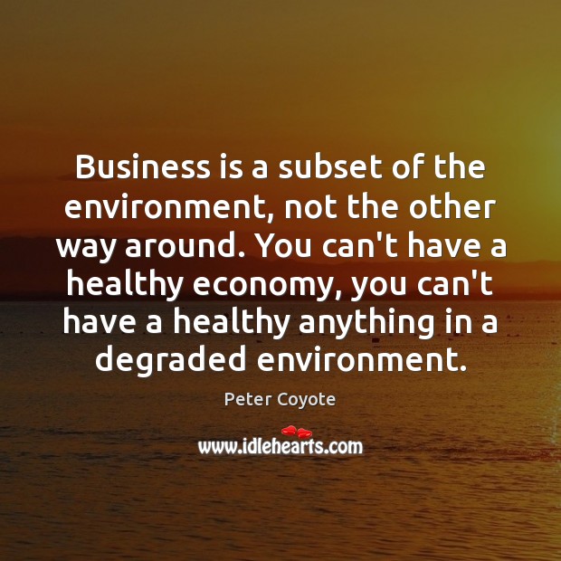 Business is a subset of the environment, not the other way around. Peter Coyote Picture Quote