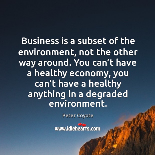 Business is a subset of the environment, not the other way around. Peter Coyote Picture Quote